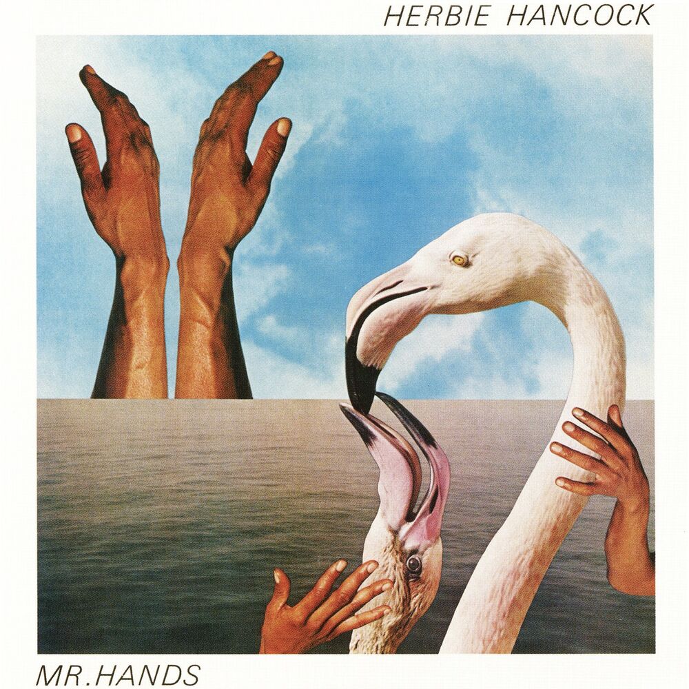 Picture of Mr. Hands
