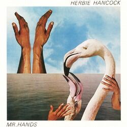 Cover of Mr. Hands