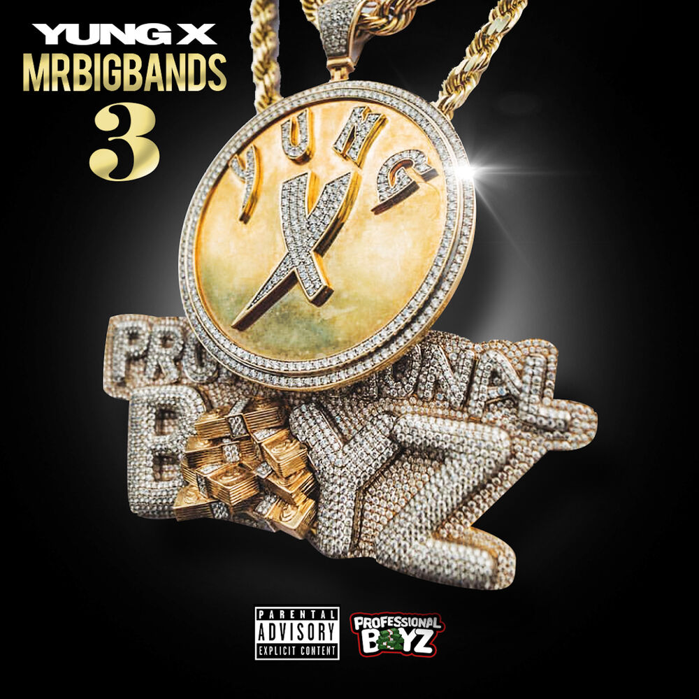 Picture of Mr. Big Bands 3