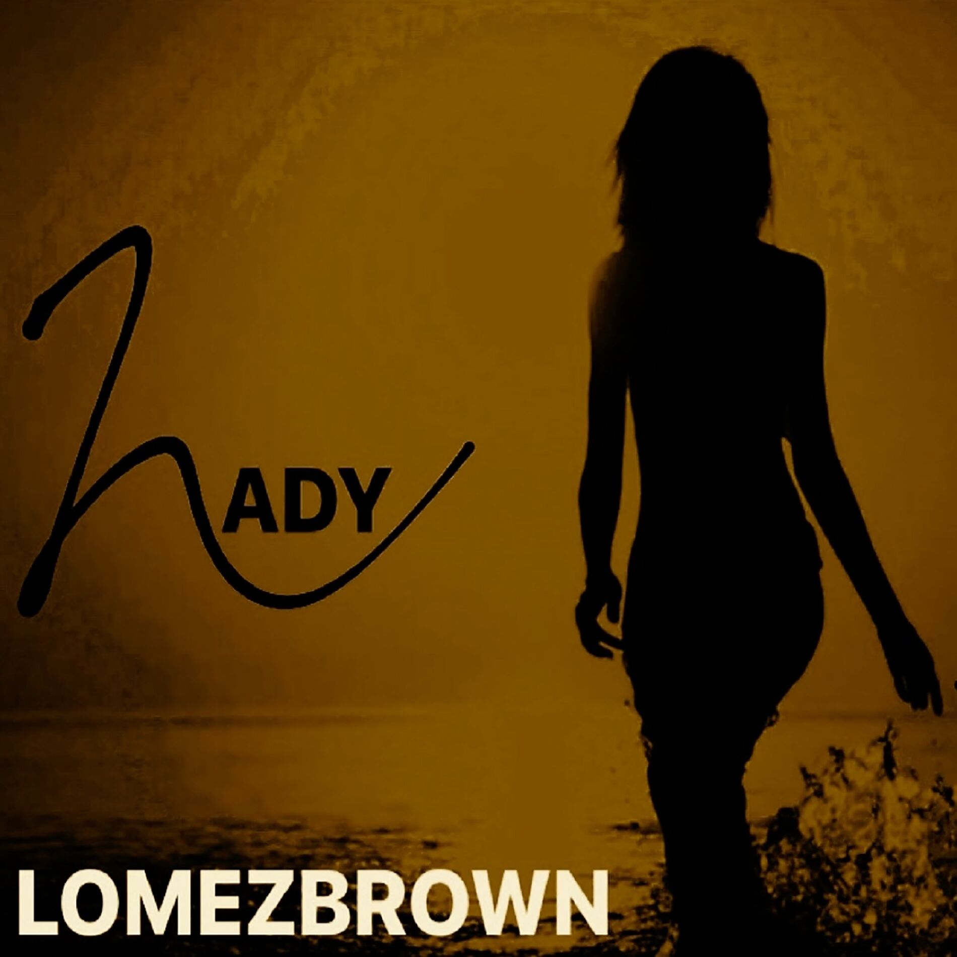 Album cover of Lady