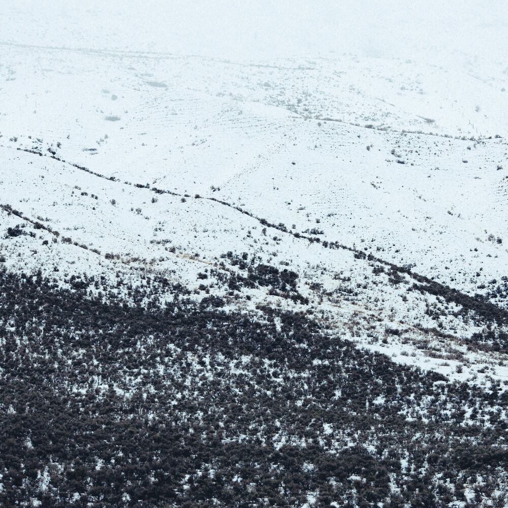 Picture of Awake