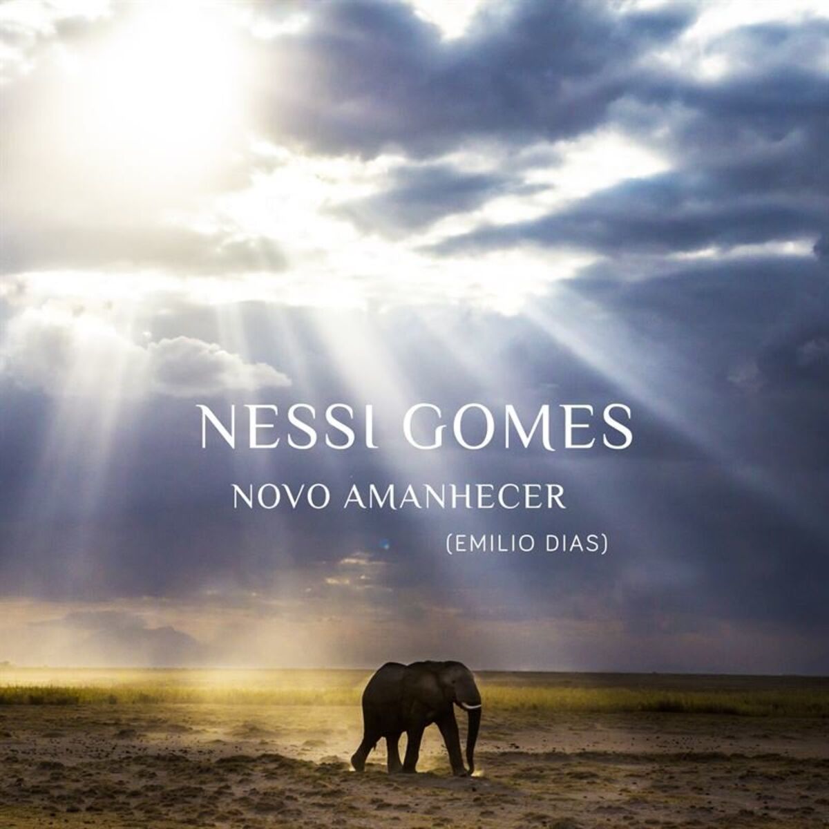 Album cover of Novo Amanhecer