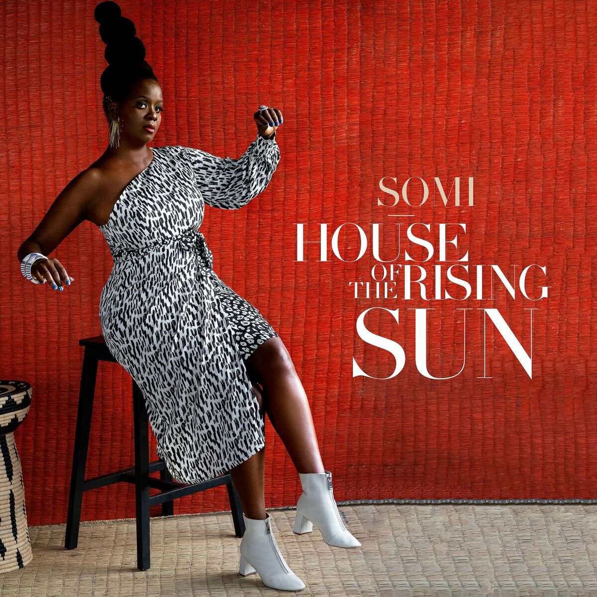 Album cover of House of the Rising Sun
