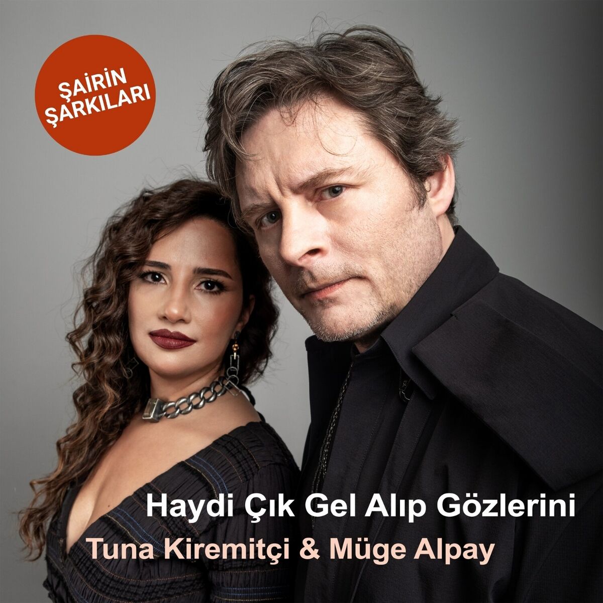 Album cover of Haydi Çık Gel Alıp Gözlerini (Şairin Şarkıları)