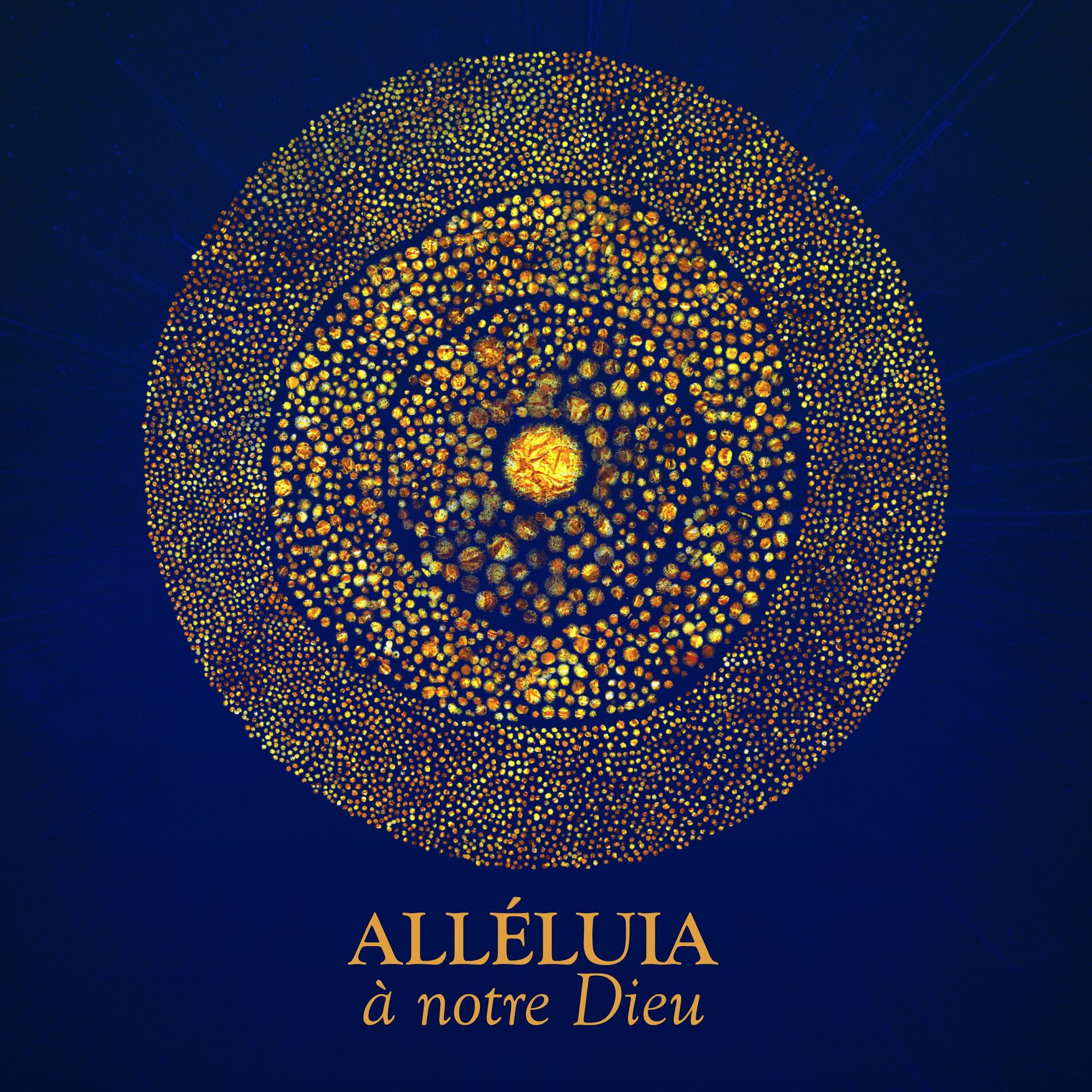 Album cover of Alléluia, à notre Dieu