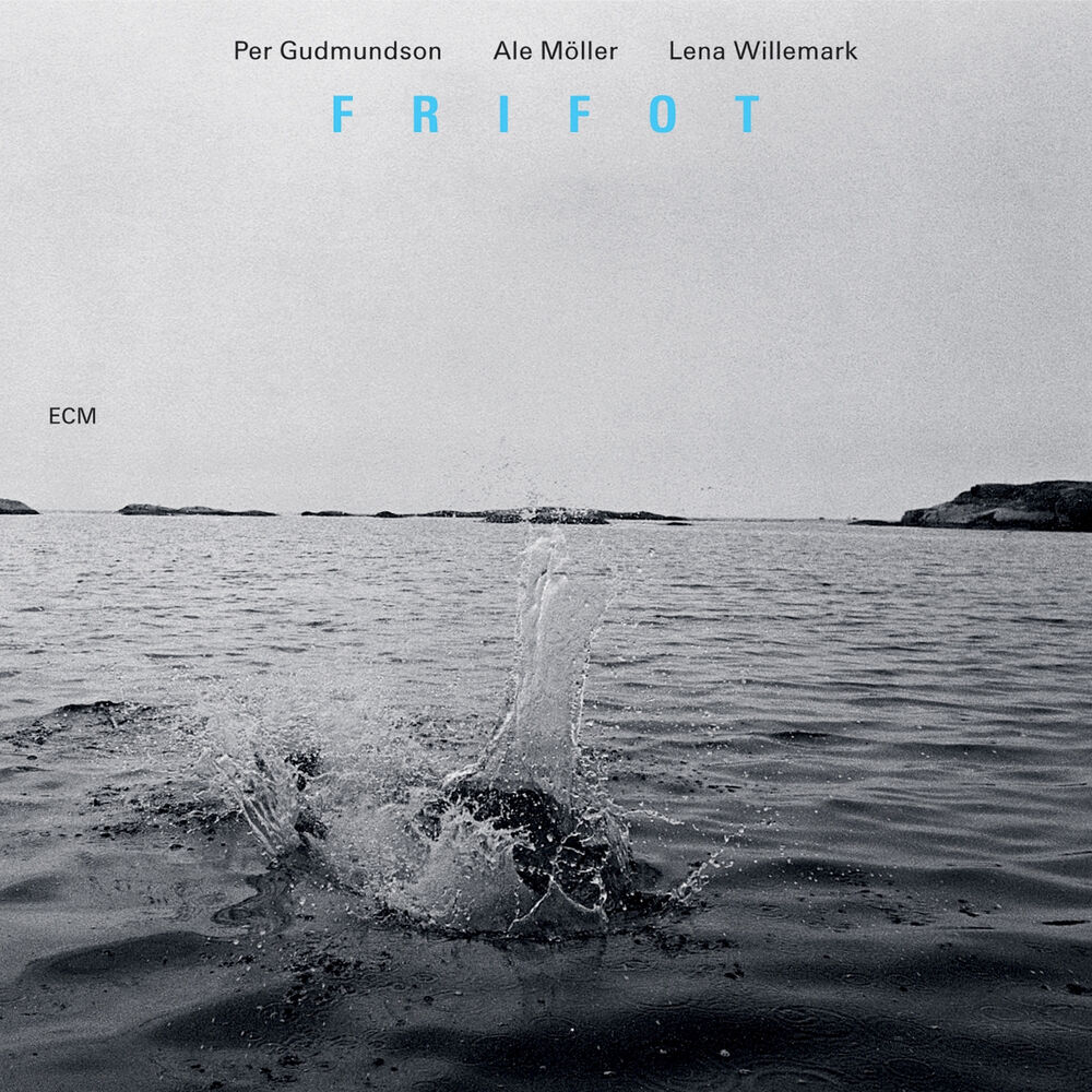 Picture of Frifot