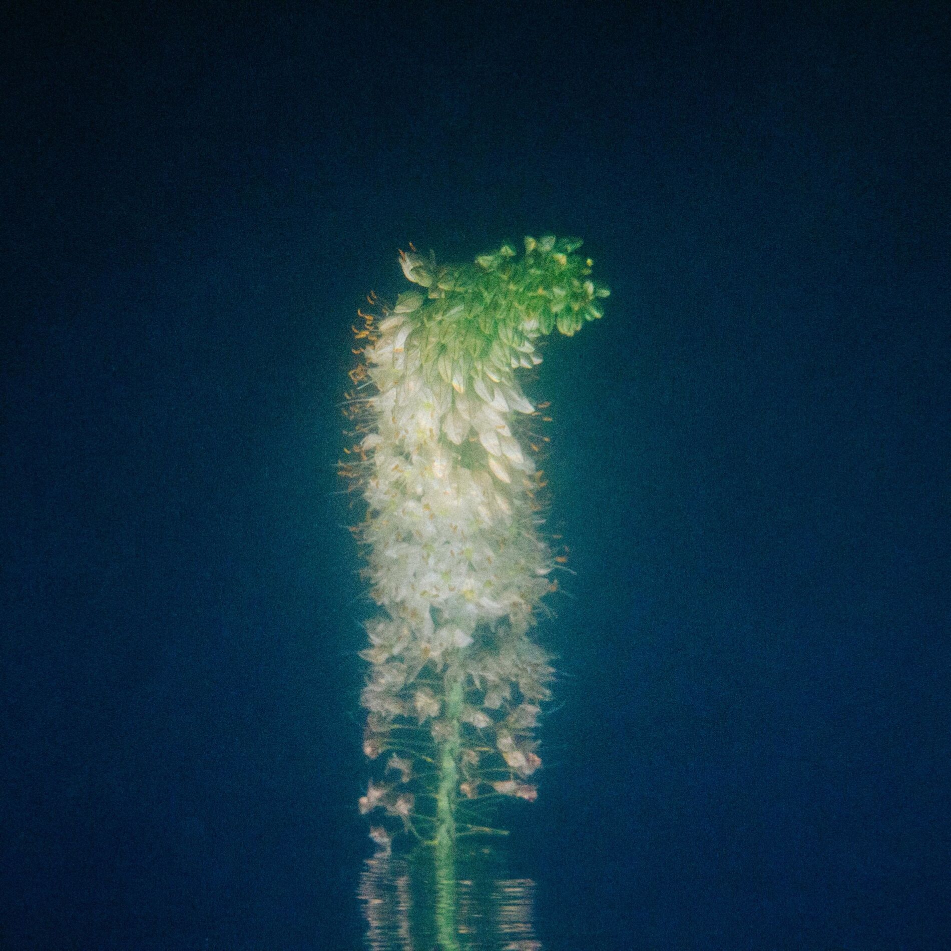 Album cover of Landscape