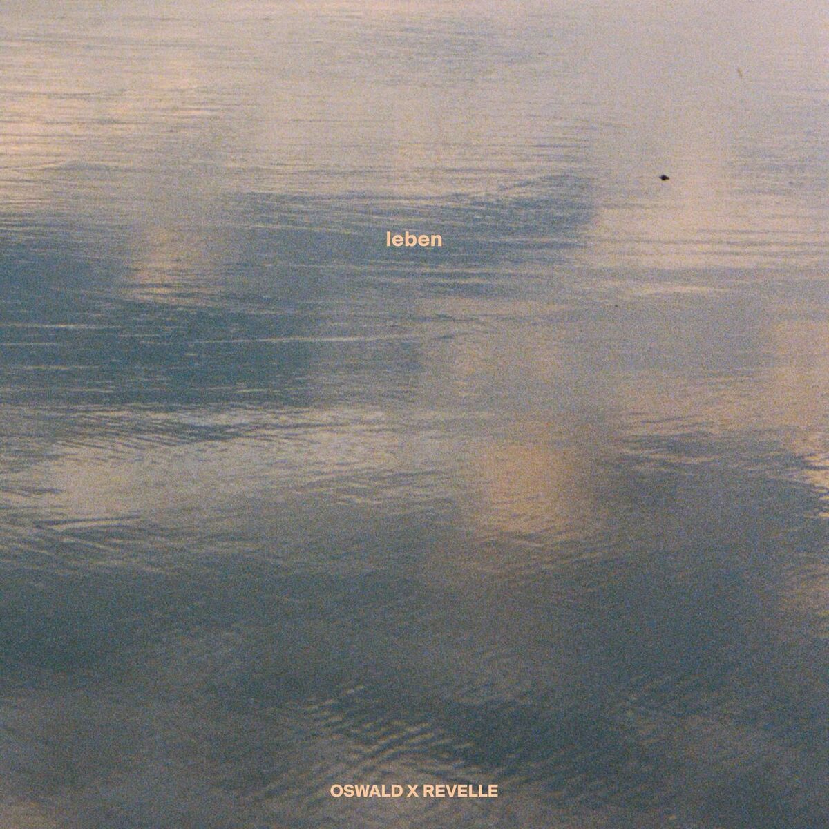 Album cover of leben