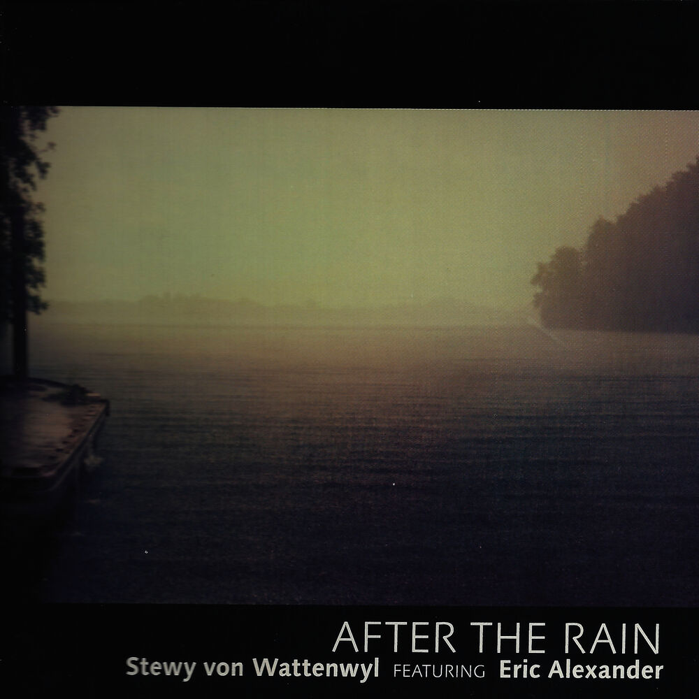Picture of After the Rain