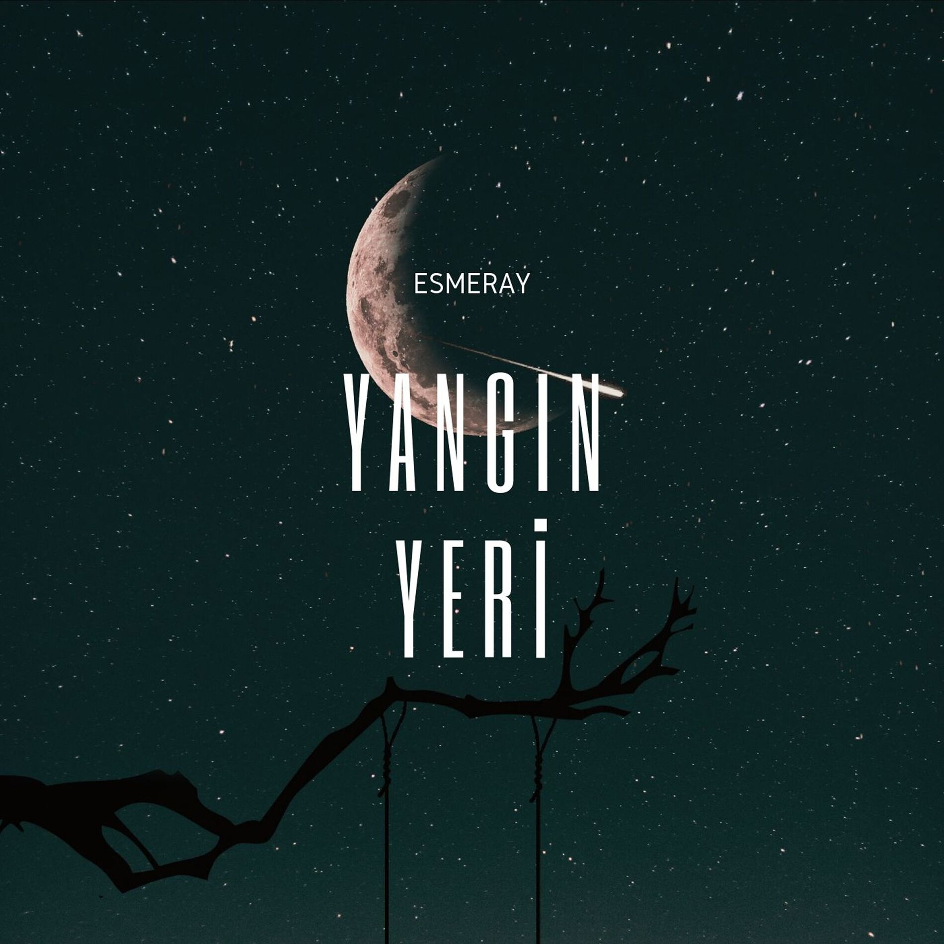 Album cover of Yangın Yeri