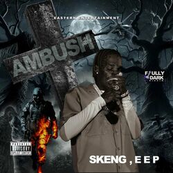 Cover of Ambush