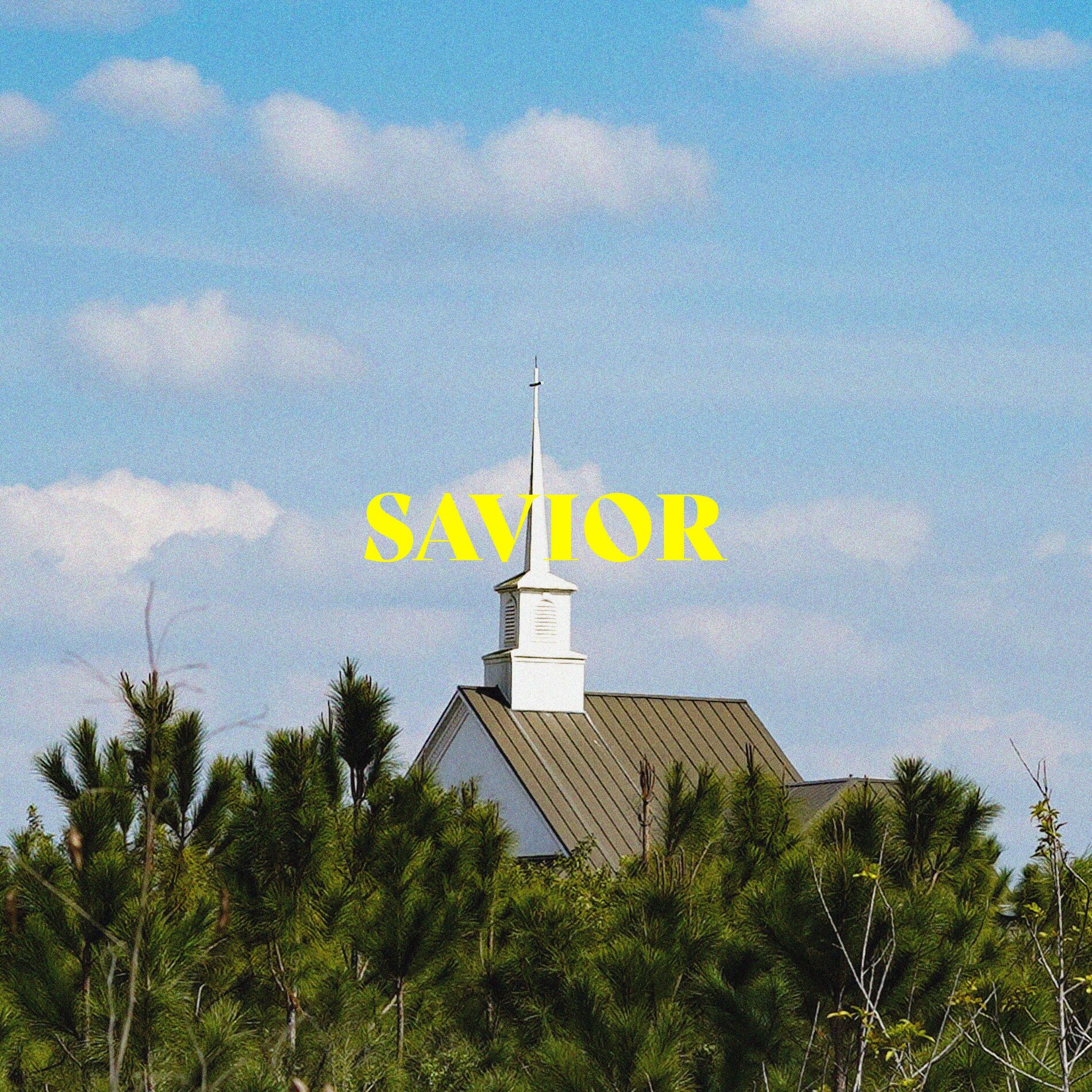 Album cover of SAVIOR