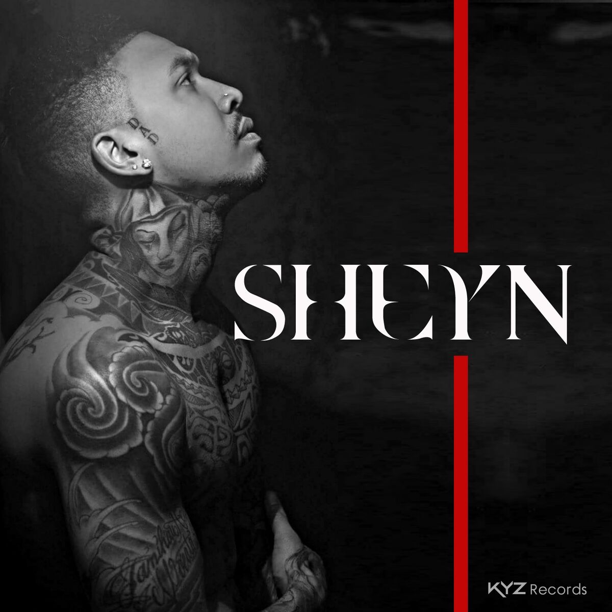 Album cover of Sheyn
