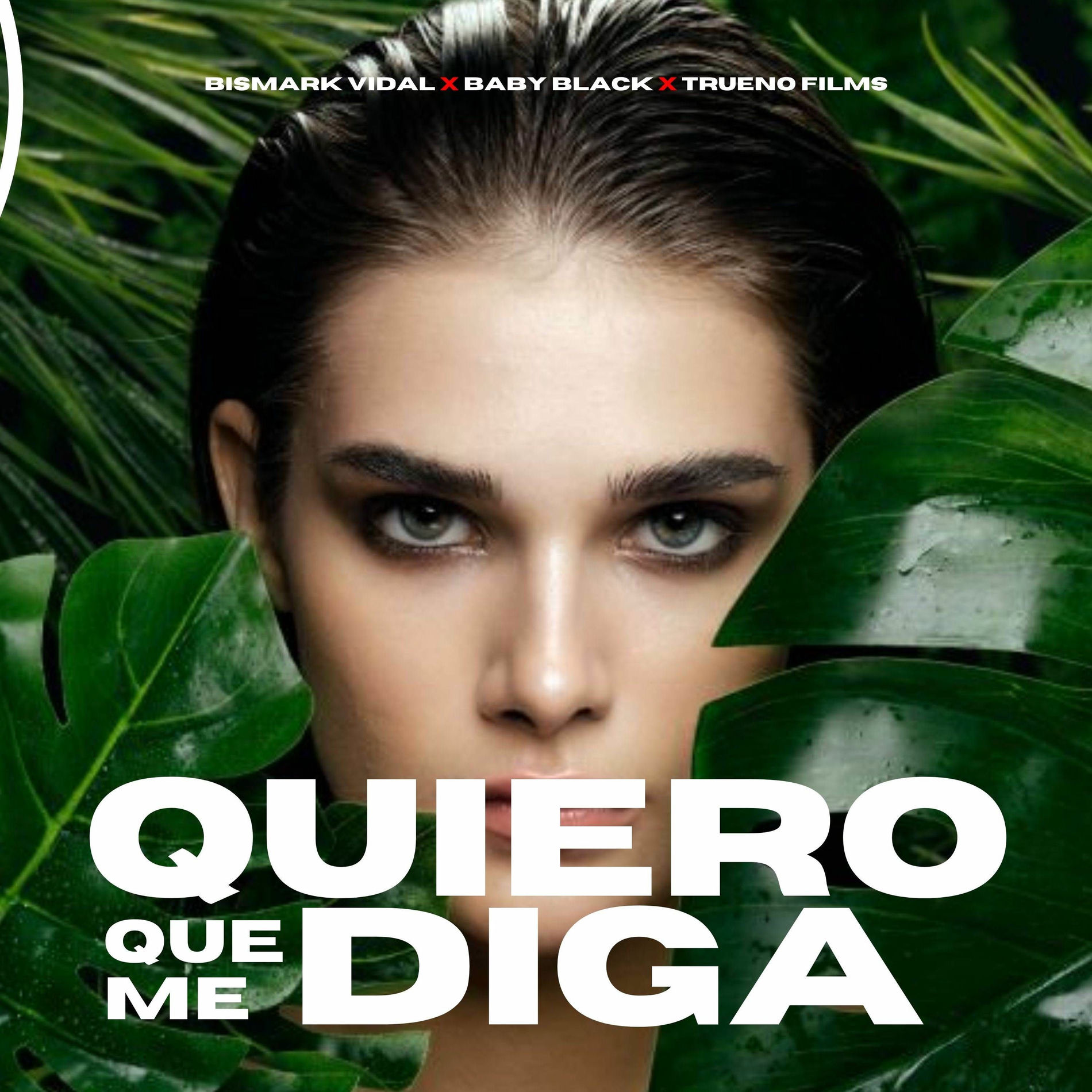 Album cover of Quiero Que Me Diga