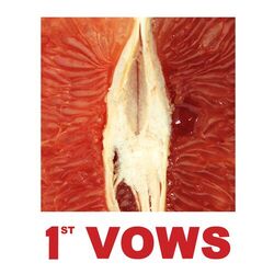 Cover of 1st Vows (The Red EP)