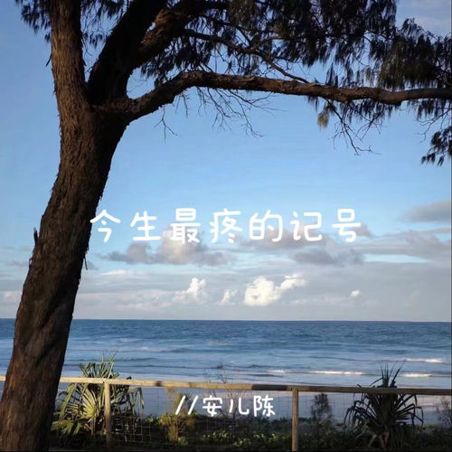今生最疼的记号 (江湖梦语录版)