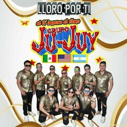 Cover of Lloro Por ti