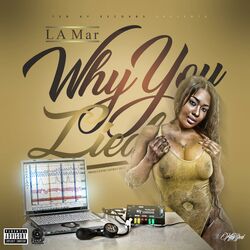 Cover of Why You Lied?