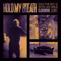 Cover of Hold My Breath (CloudNone Remix)