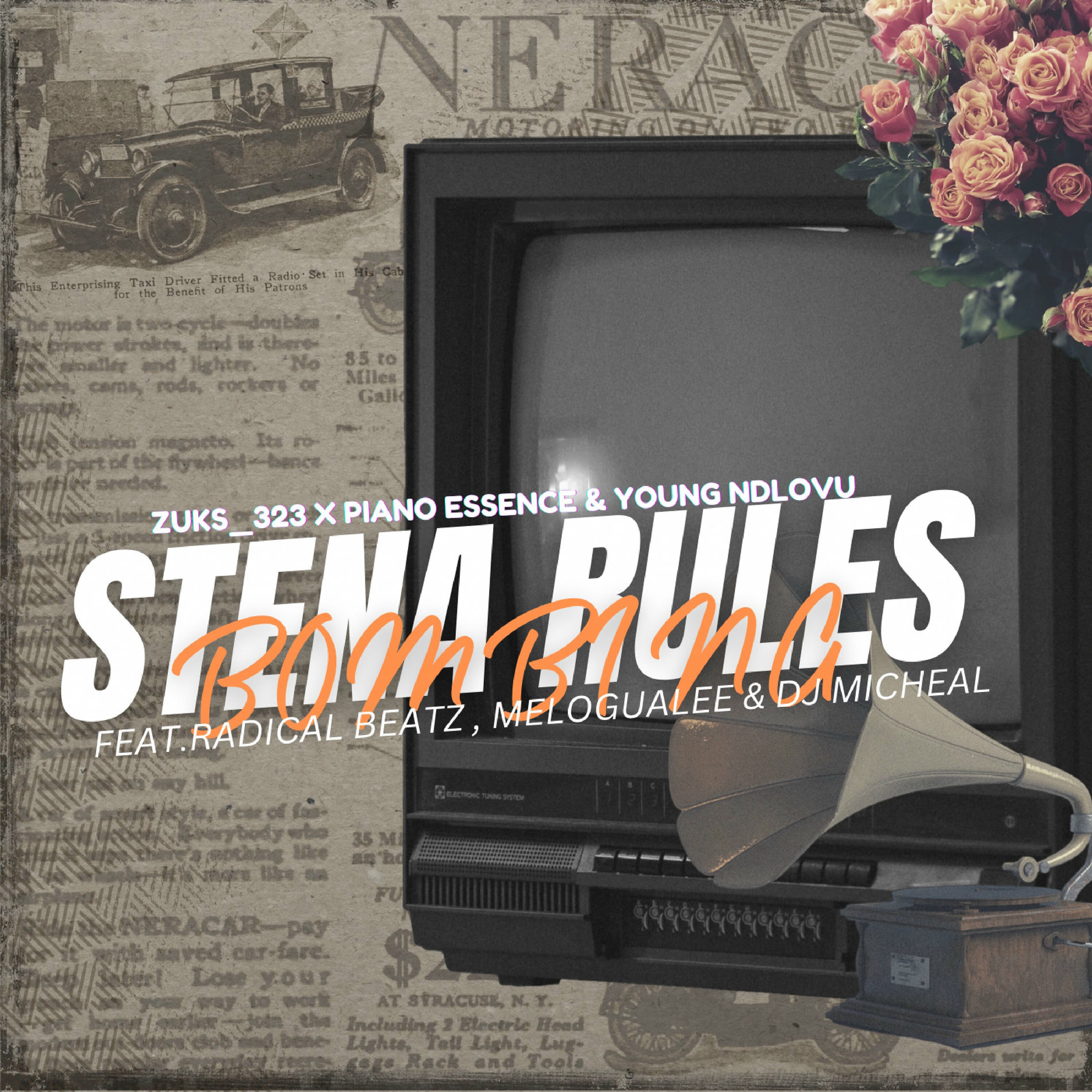 Album cover of Stena Rules ( Bombing )
