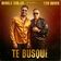 Te Busqué