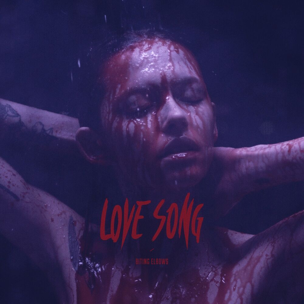 Picture of Love Song