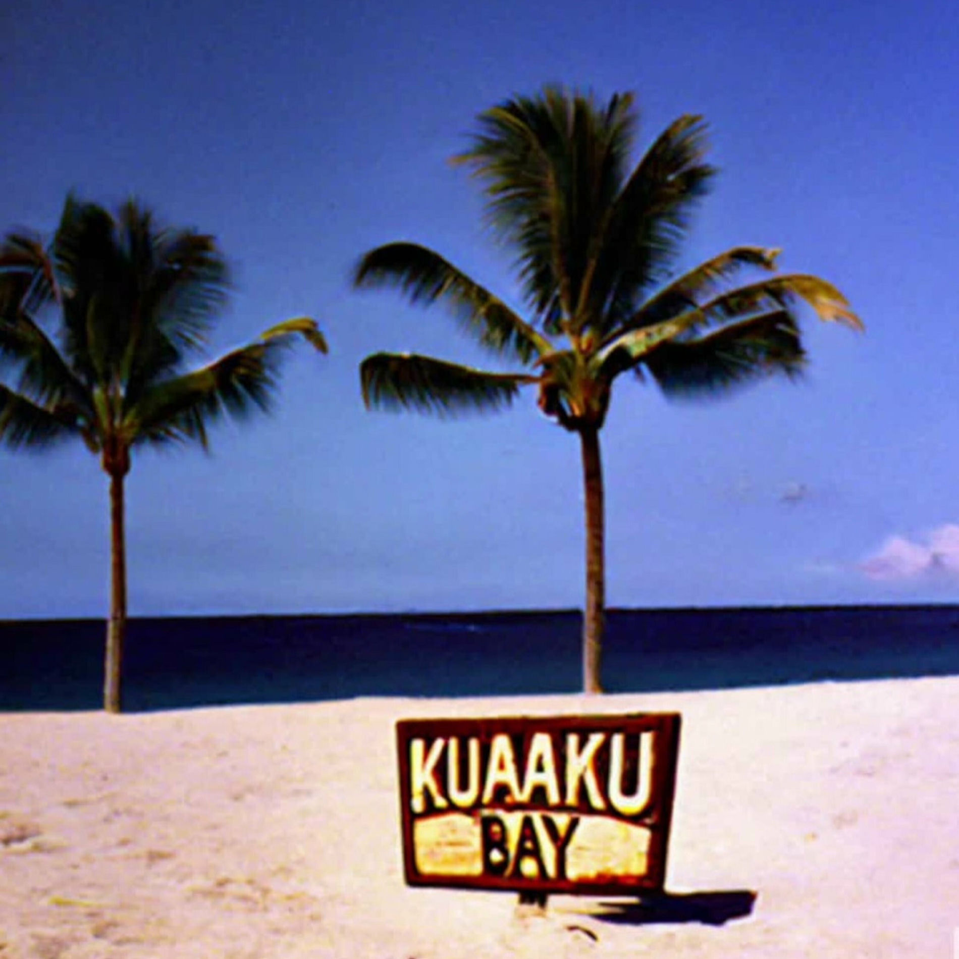 Album cover of Quoicoubeh (wakichoubalou)