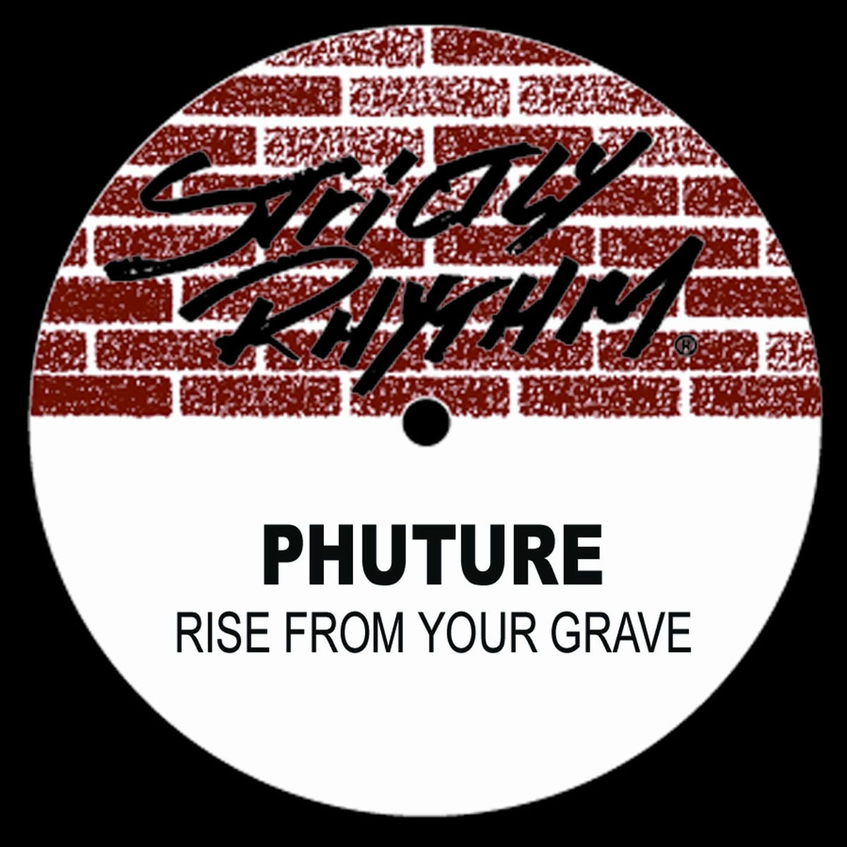 Album cover of Rise From Your Grave