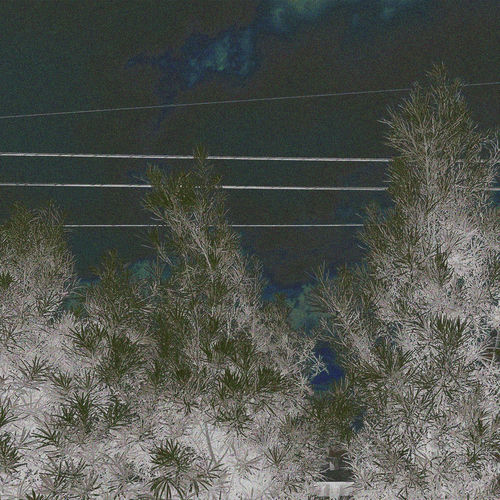 dog river (original version)