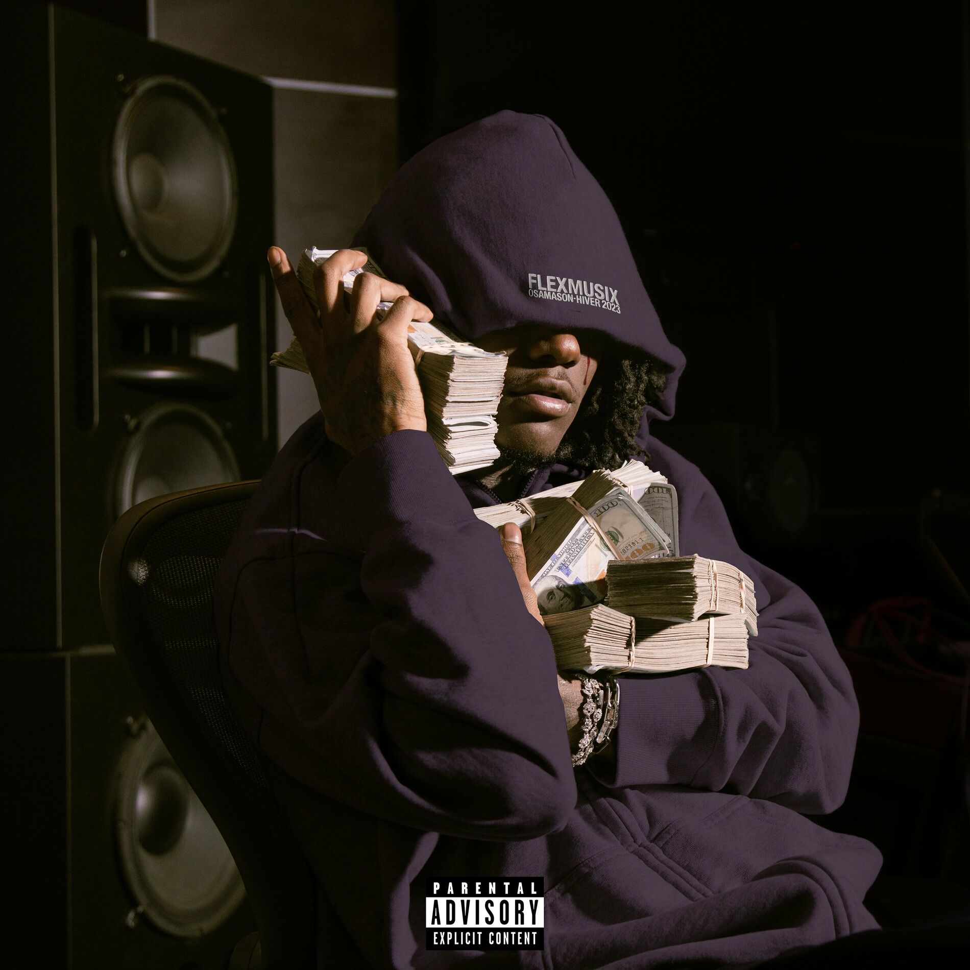 Album cover of Flex Musix (FLXTRA)