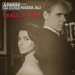 Cover of Feels So Good