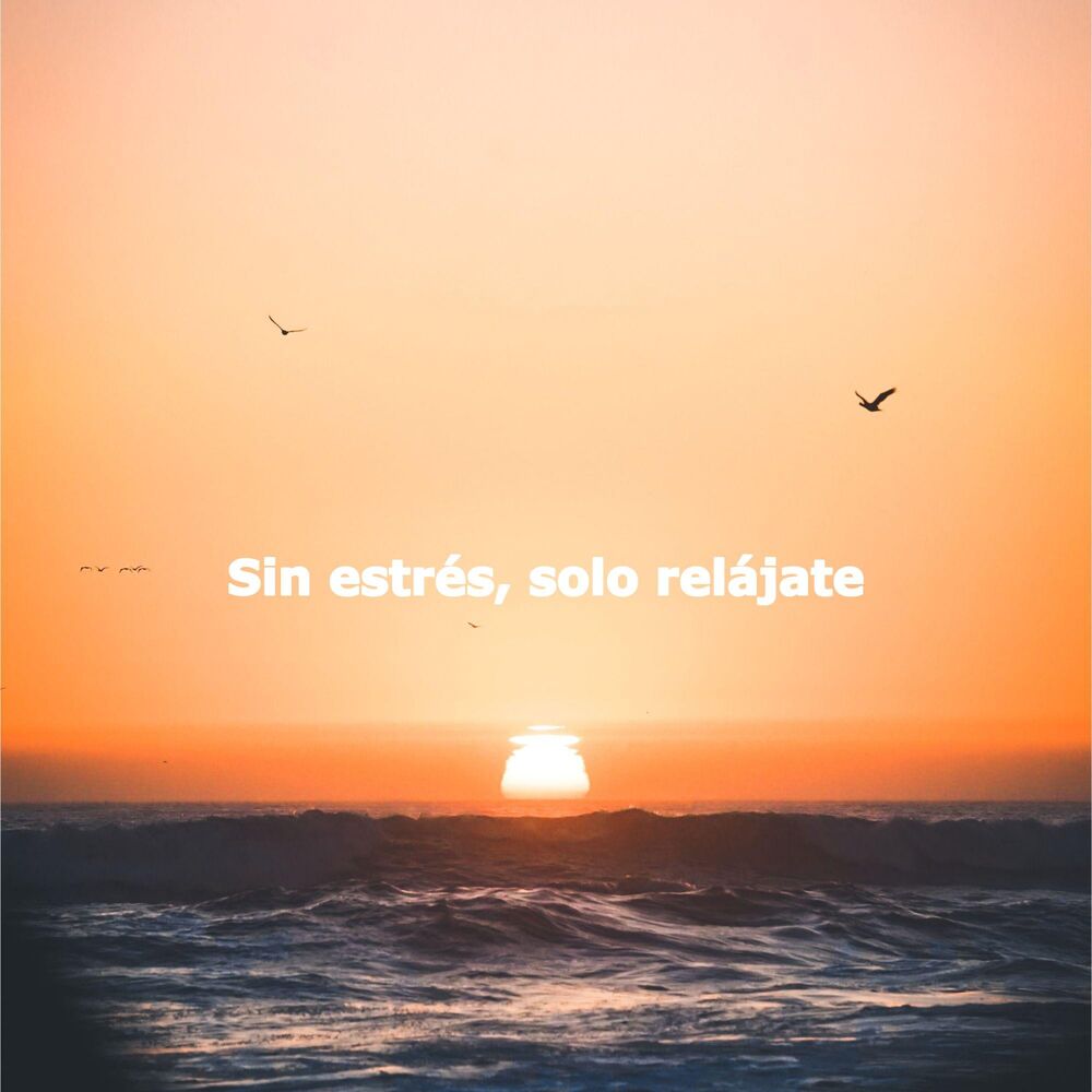 Picture of Sin estrés, solo relájate
