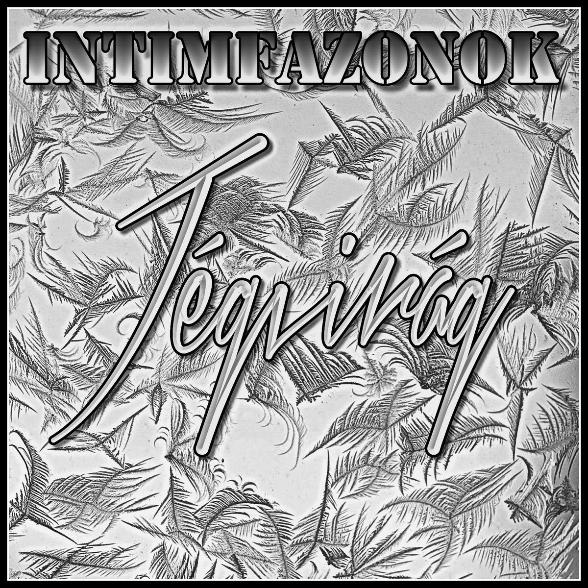 Album cover of Jégvirág