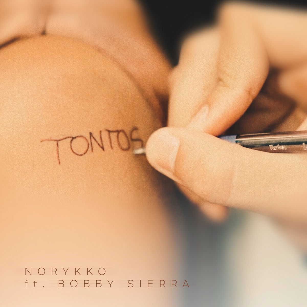 Album cover of Tontos