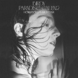 Cover of Paradise Calling (Henri Bergmann Remix)