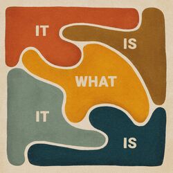 Cover of It Is What It Is