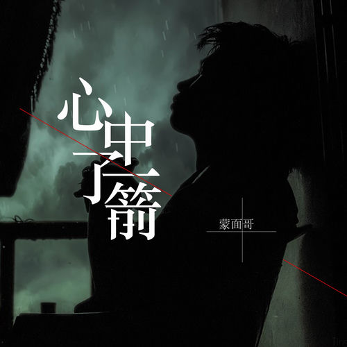 心中了一箭