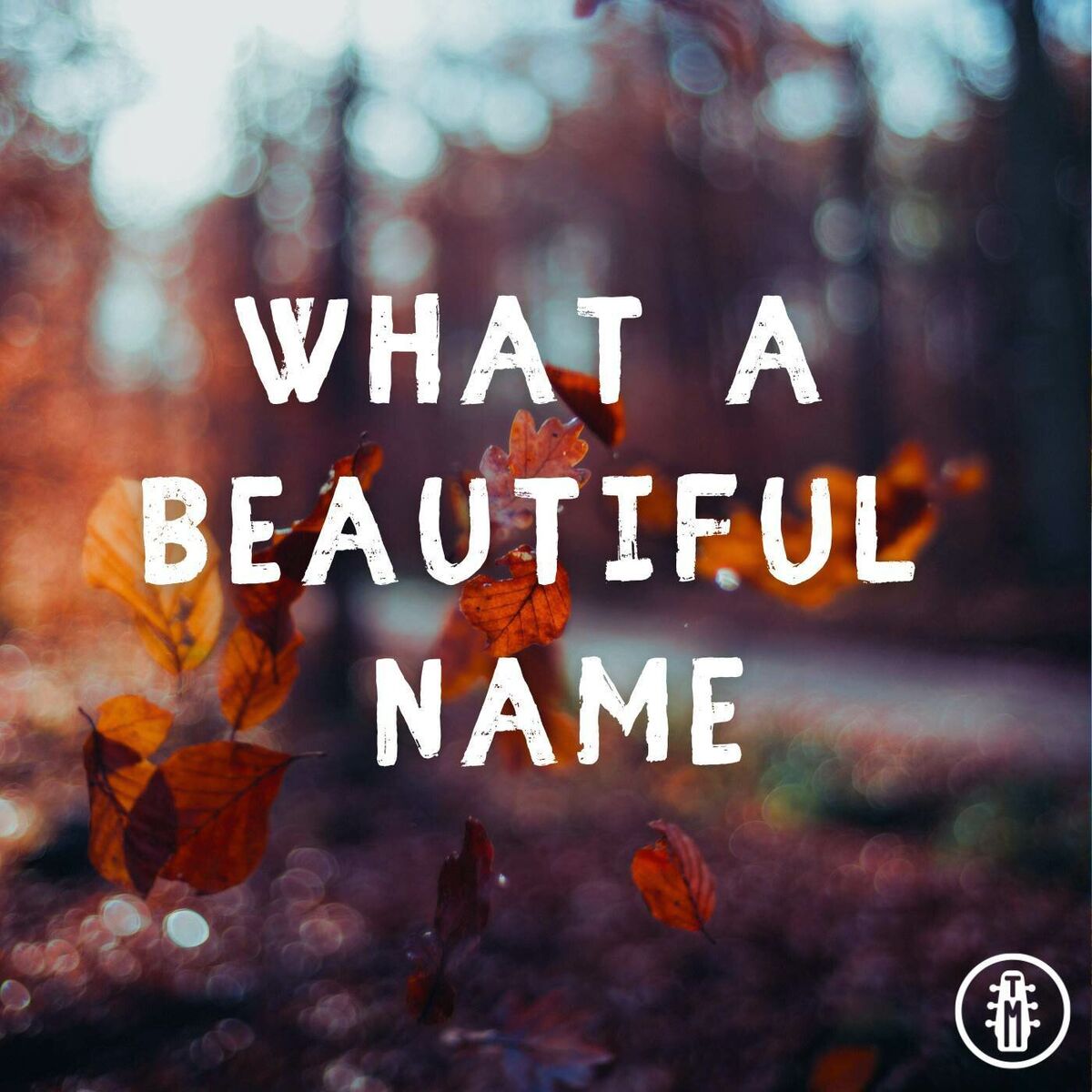 Album cover of What A Beautiful Name - Acoustic Instrumental
