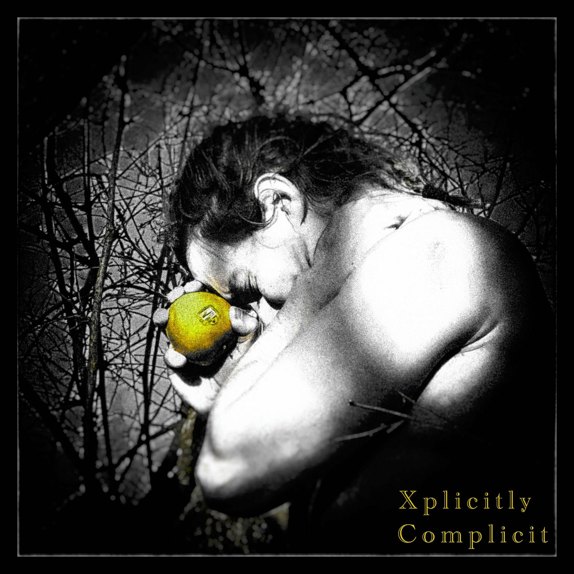 Album cover of Xplicitly Complicit