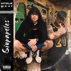 Cover of Sinpapeles