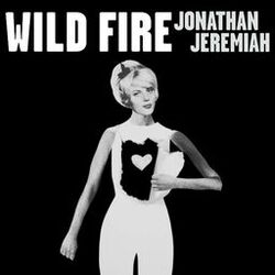 Cover of Wild Fire