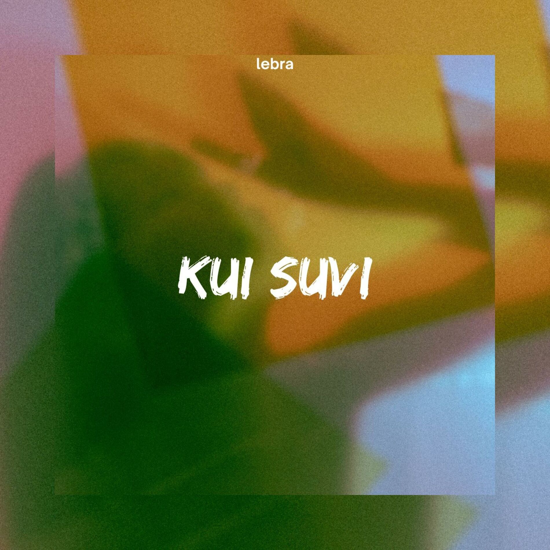 Album cover of Kui Suvi (feat. Gerda)