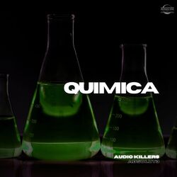 Cover of Quimica