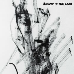 Cover of Beauty in the dark