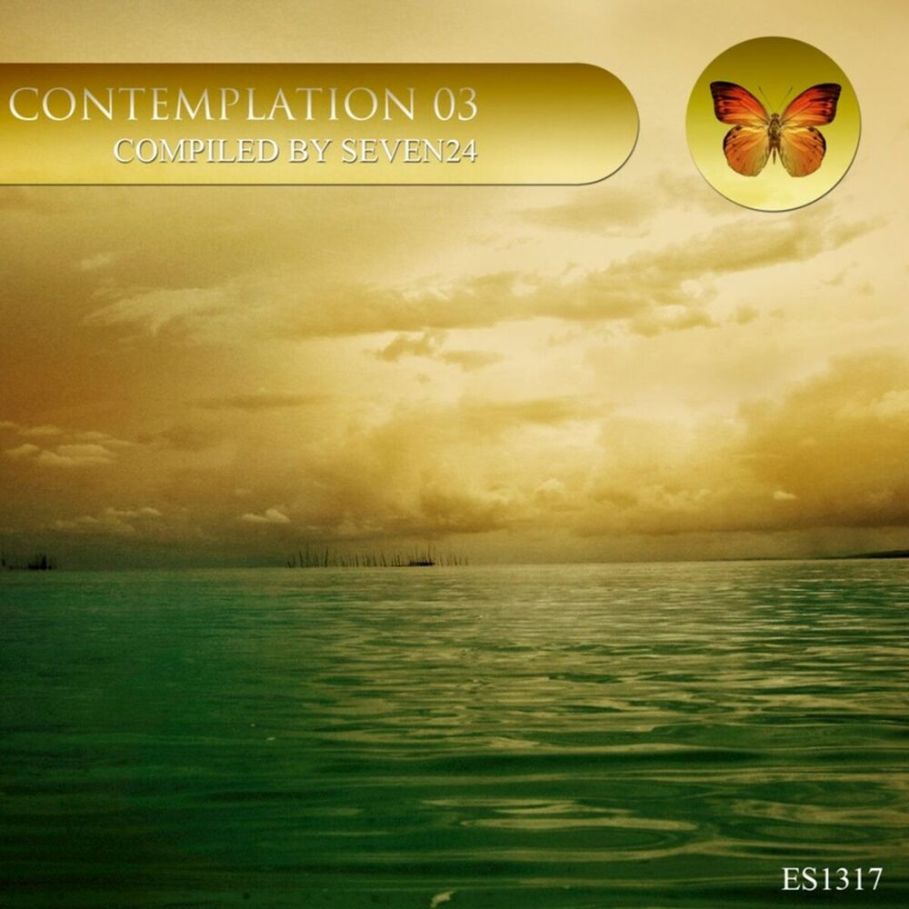 Picture of Contemplation 03