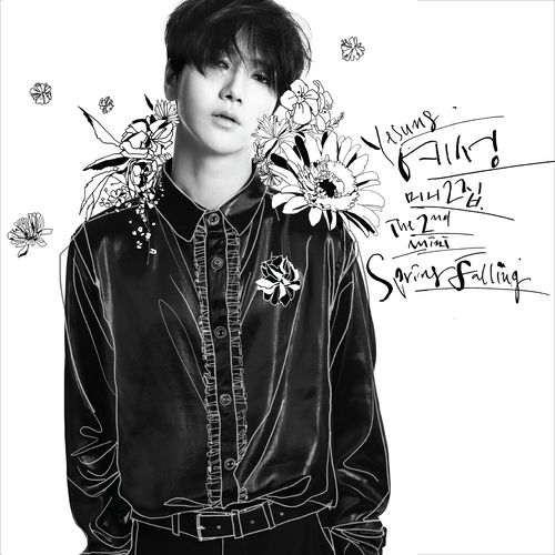 美品 YESUNG Spring Falling CD 写真集 黒 トレカ付き 美品 YESUNG Spring Falling CD 写真集 黒 トレカ付き 美品