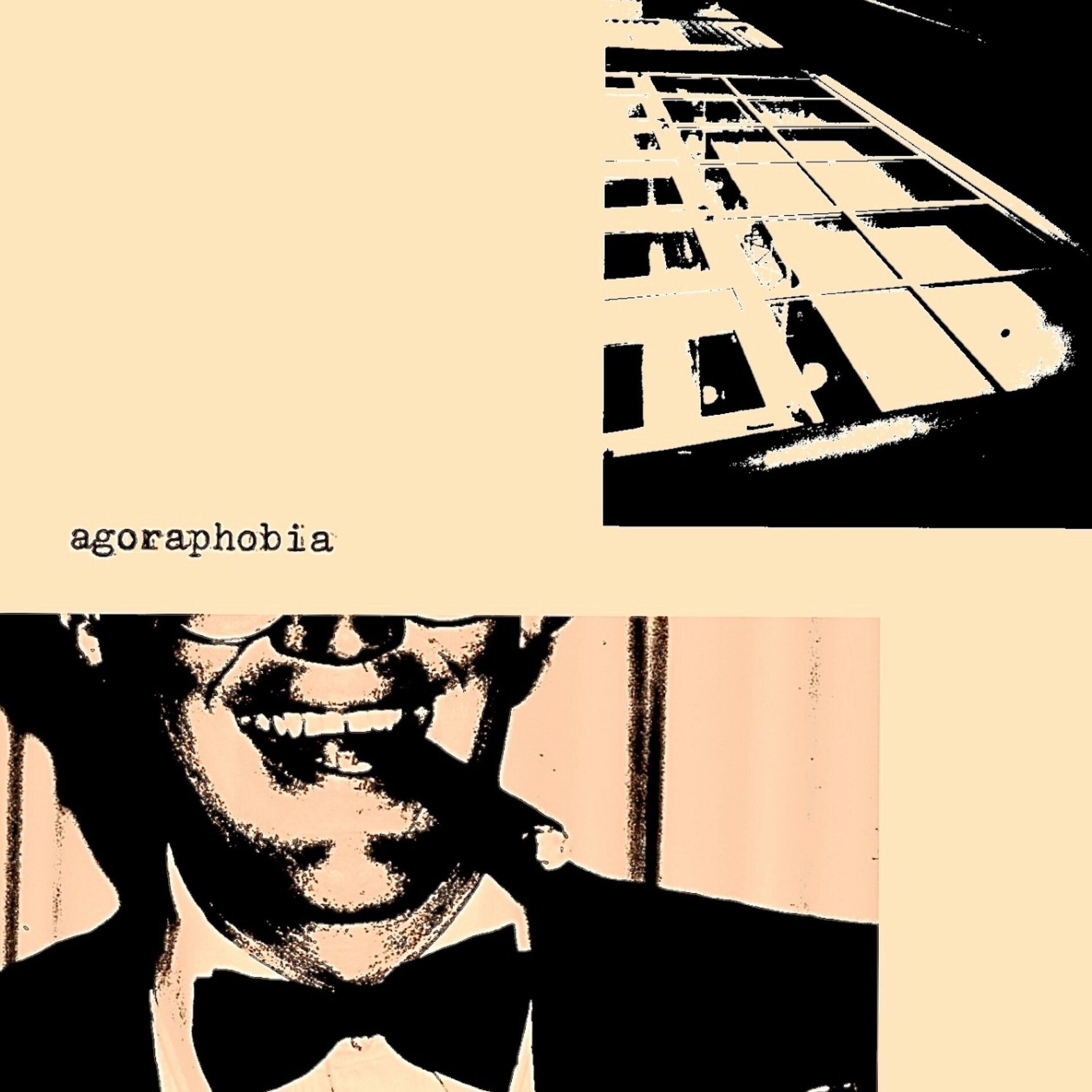 Album cover of agoraphobia