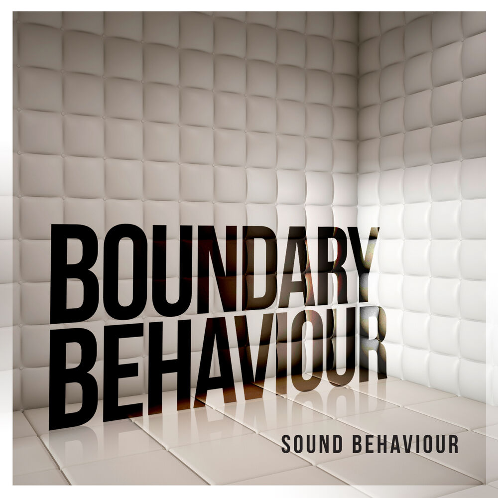 Picture of Boundary Behaviour