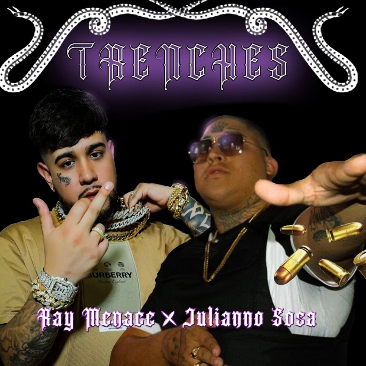 Album cover of TRENCHES