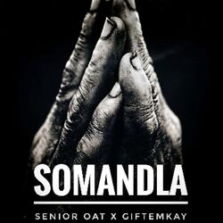 Cover of Somandla
